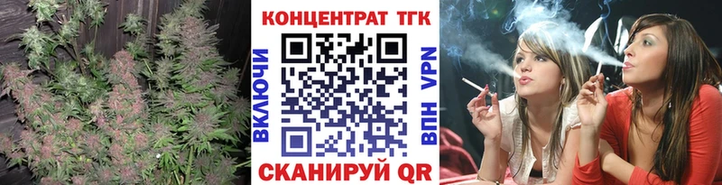 как найти наркотики  Каменногорск  KRAKEN зеркало  ТГК THC oil 