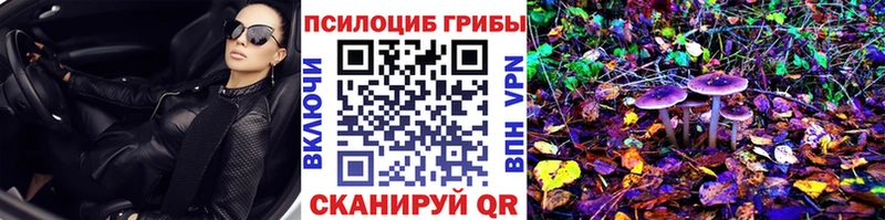 закладка  Каменногорск  Галлюциногенные грибы GOLDEN TEACHER 